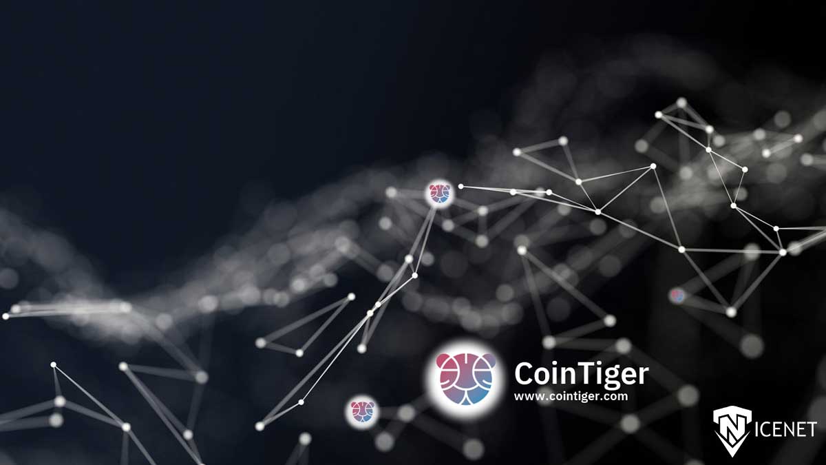 صرافی کوین تایگر چیست؟